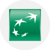 BNPP icon