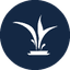 AMLX icon