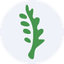 ARCC icon