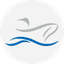 ASM icon