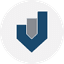 RIOT icon