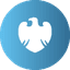 BCS icon