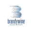 BDN icon
