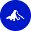 BTCO icon