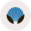 CLFD icon