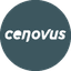 CVE icon