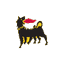 ENI icon