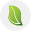 ENC icon