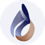 GINS icon