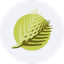 MERS icon