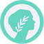 METISUSD icon