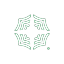 NSP icon