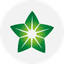 QFLS icon