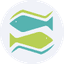 SFICO icon