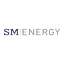 SM icon