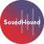 SOUN icon