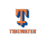 TDW icon