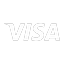 V icon