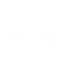 VRTX icon