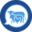 WDAM icon