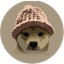 WIFUSD icon