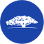 WTAI icon