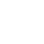 WYNN icon