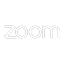 ZM icon