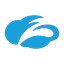 ZS icon