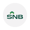 SNB icon