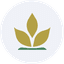 ARABIANM icon