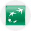 BNPP icon