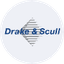 DSI icon