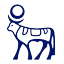 NVO icon