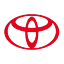 TM icon