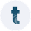 TRVI icon