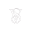 VSCO icon